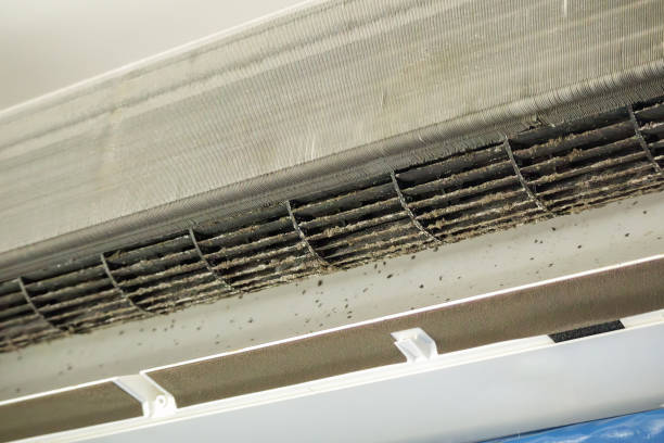 Best Air Duct Cleaning Near Me in Whitehouse, OH